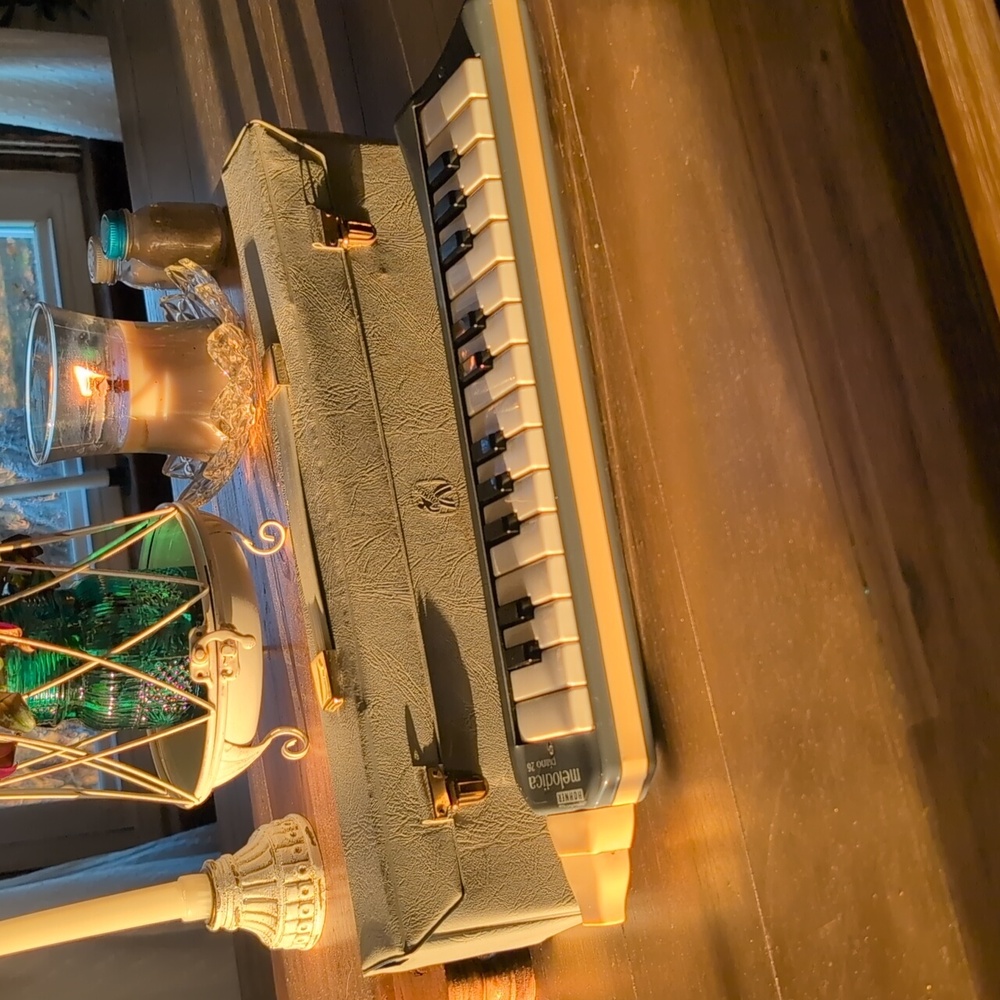 Vintage Hohner Melodica Piano 26 Gray Case Mute Button Made in Germany WORKS